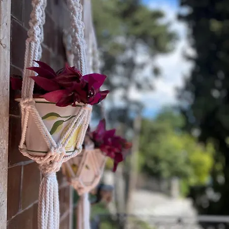 Casa Tonoli * Тосколано-Мадерно